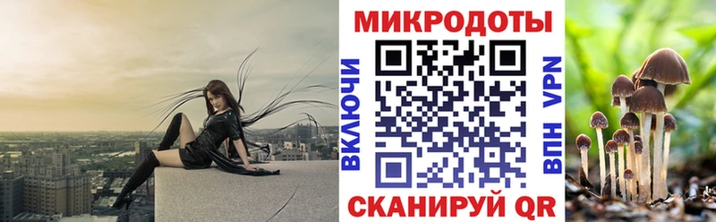 Галлюциногенные грибы Magic Shrooms  shop какой сайт  Опочка 